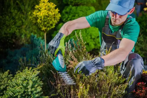 landscaping services Wesley Hills